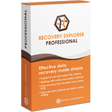 Recovery Explorer Professional