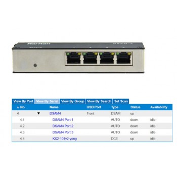  Dominion Serial Access Modules (DSAM-4) 